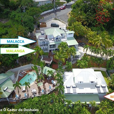 Studio Malacca et Malanga- Ô Cœur de Deshaies Bagian luar foto