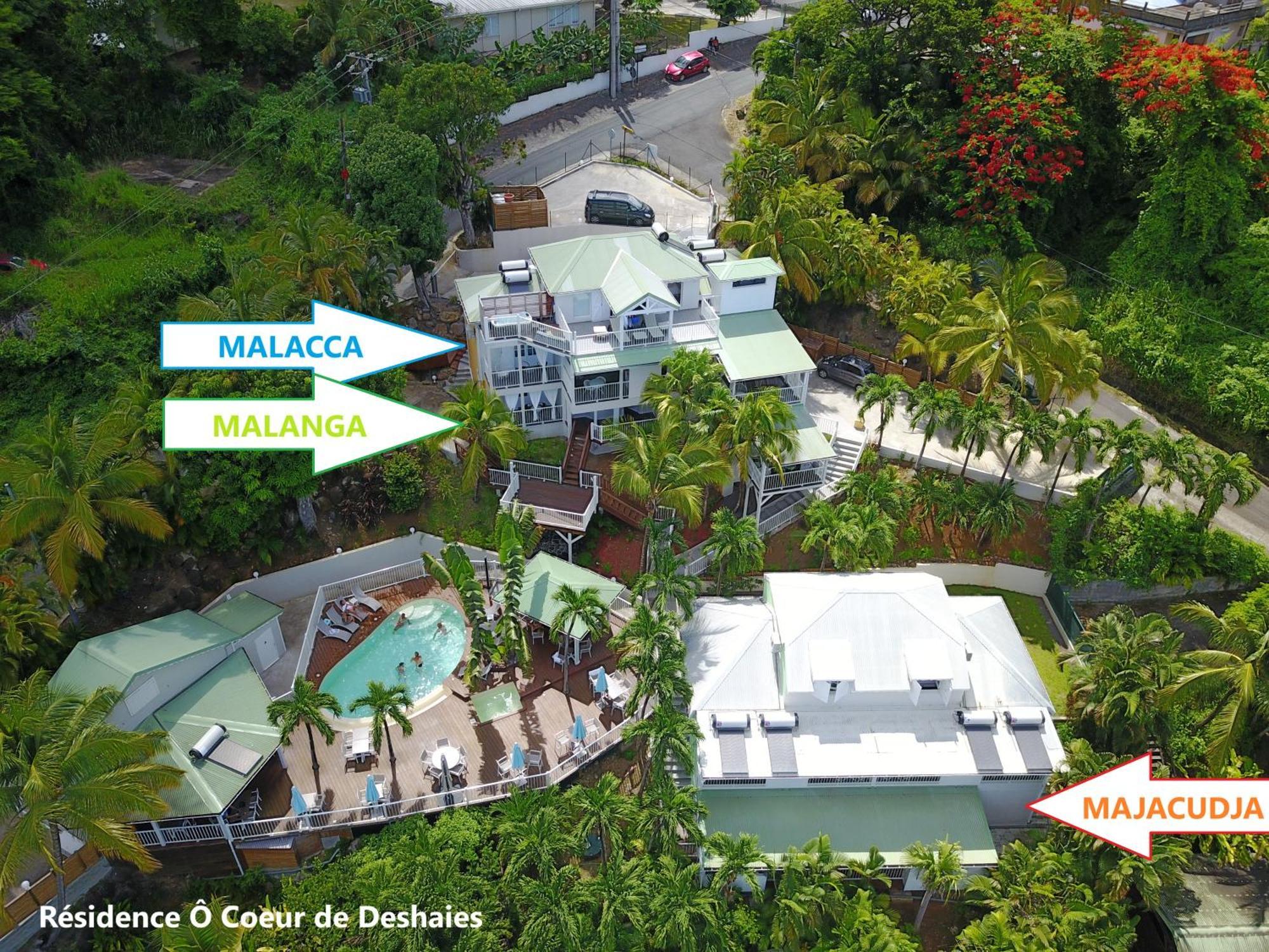 Studio Malacca et Malanga- Ô Cœur de Deshaies Bagian luar foto